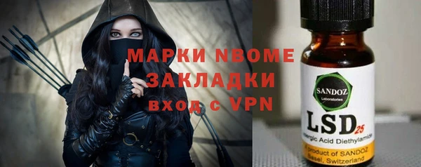 прущие грибы Верхний Тагил