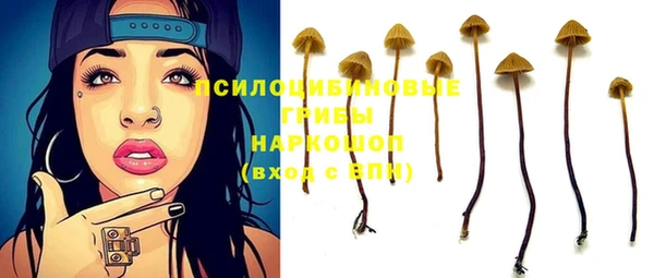 стаф Волоколамск