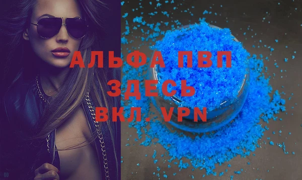 стаф Волоколамск