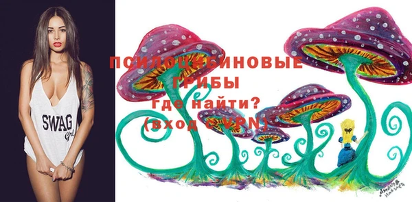 стаф Волоколамск