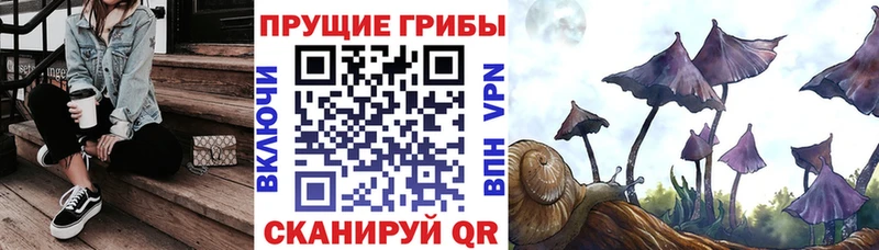 купить наркотики сайты Балаково Псилоцибиновые грибы мухоморы